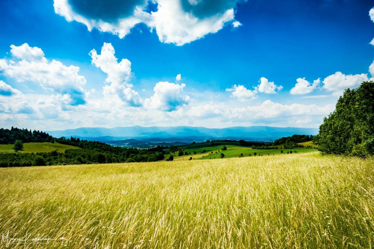 Agroturystyka Kapellanka - Kraina Wygaslych Wulkanow Wojcieszów Exterior foto